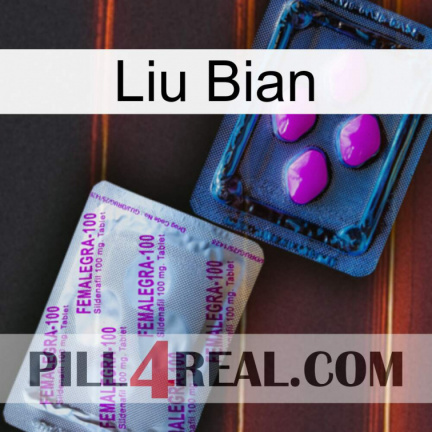 Liu Bian 37